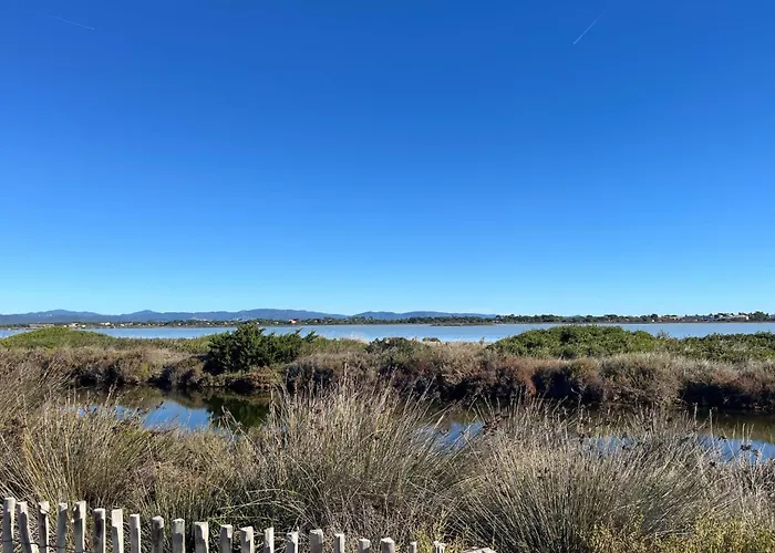 Apartment The Little Arbanais Ideal Near The Sea Hyères